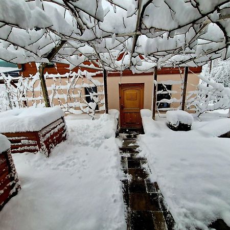 Vineyard Cottage Matej Trebnje المظهر الخارجي الصورة