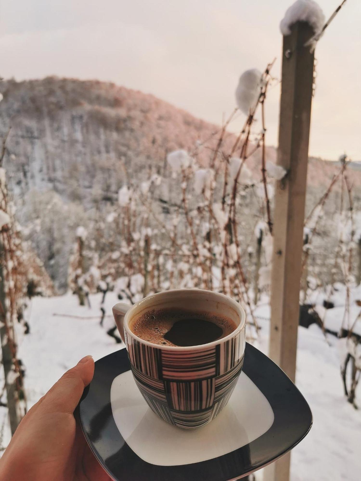 Vineyard Cottage Matej Trebnje المظهر الخارجي الصورة