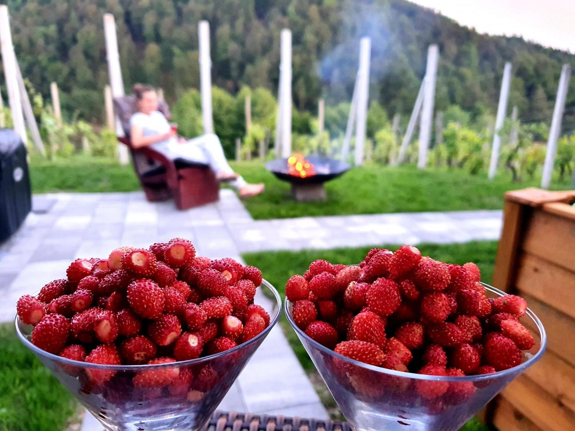 Vineyard Cottage Matej Trebnje المظهر الخارجي الصورة