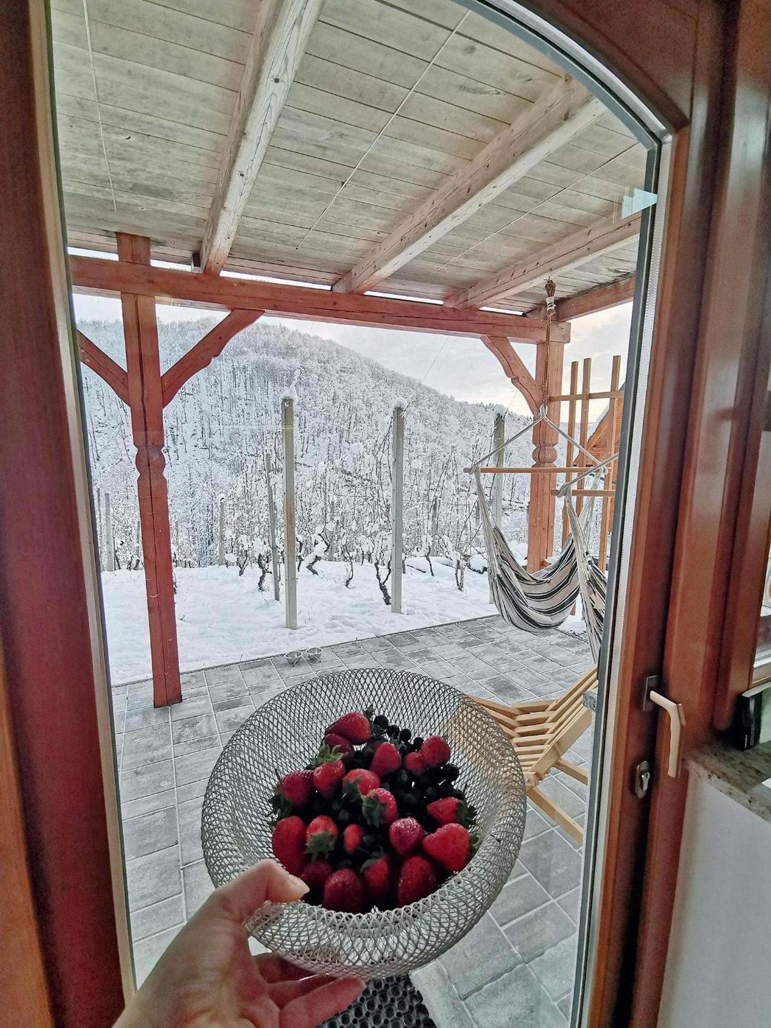 Vineyard Cottage Matej Trebnje المظهر الخارجي الصورة
